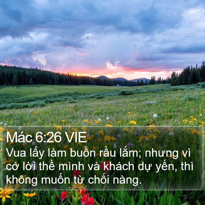 Mác 6:26 VIE Bible Study