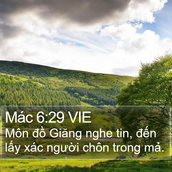 Mác 6:29 VIE Bible Study