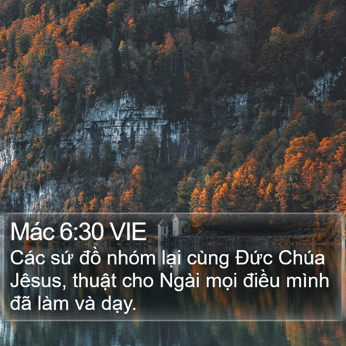 Mác 6:30 VIE Bible Study