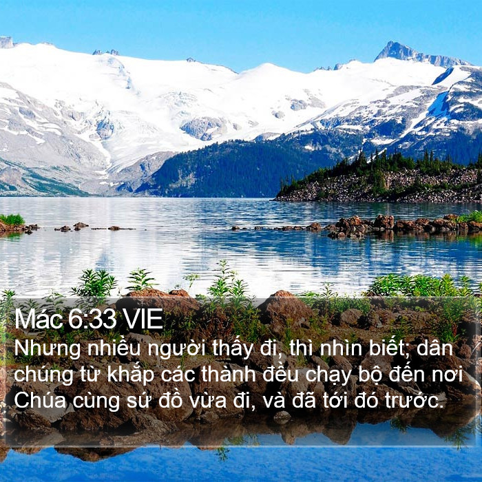 Mác 6:33 VIE Bible Study