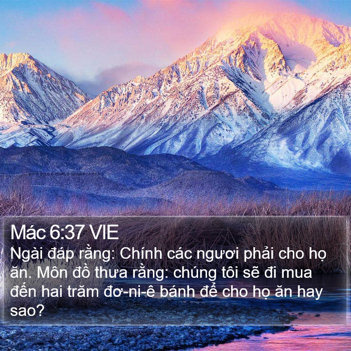 Mác 6:37 VIE Bible Study