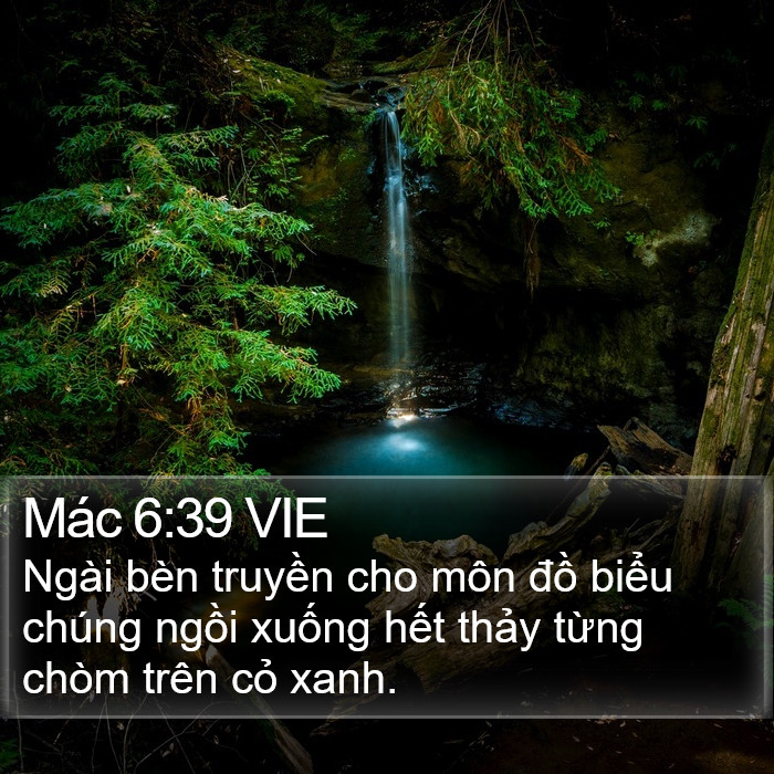 Mác 6:39 VIE Bible Study