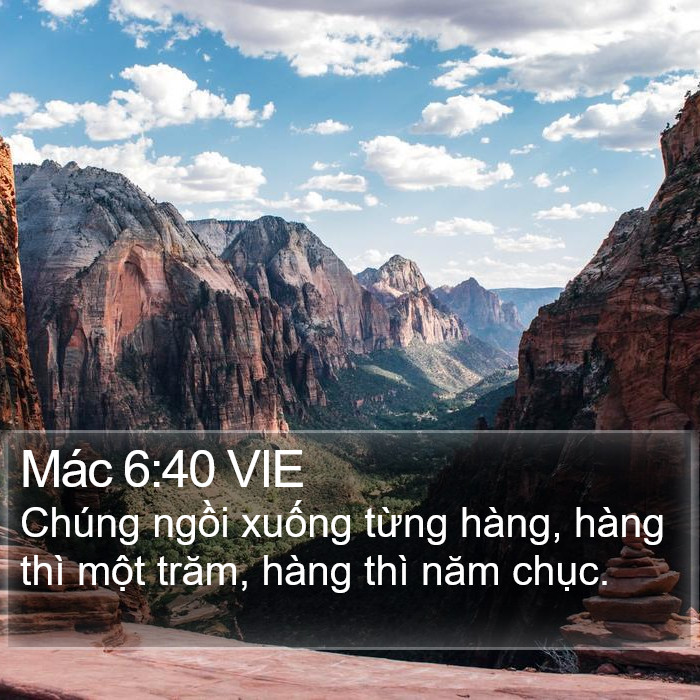 Mác 6:40 VIE Bible Study