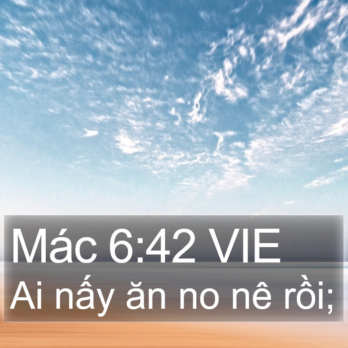 Mác 6:42 VIE Bible Study