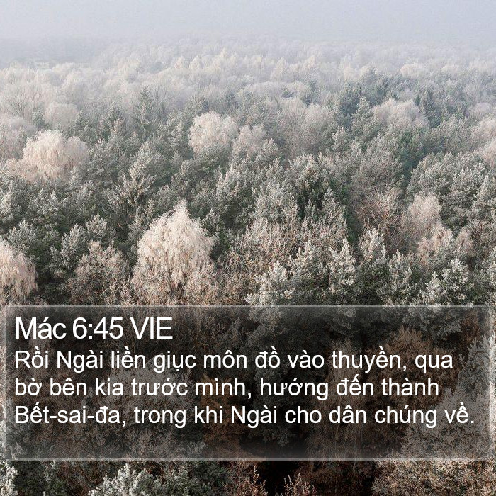 Mác 6:45 VIE Bible Study