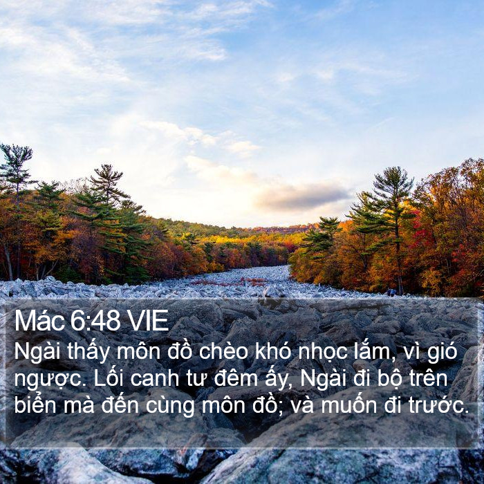 Mác 6:48 VIE Bible Study