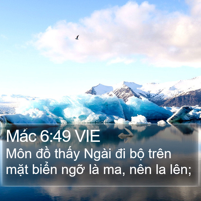 Mác 6:49 VIE Bible Study