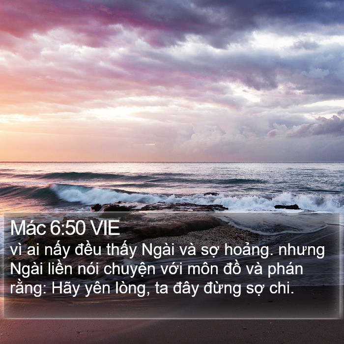 Mác 6:50 VIE Bible Study