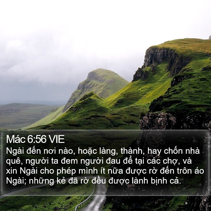 Mác 6:56 VIE Bible Study