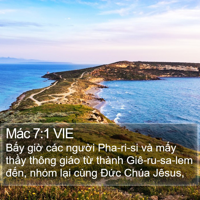 Mác 7:1 VIE Bible Study