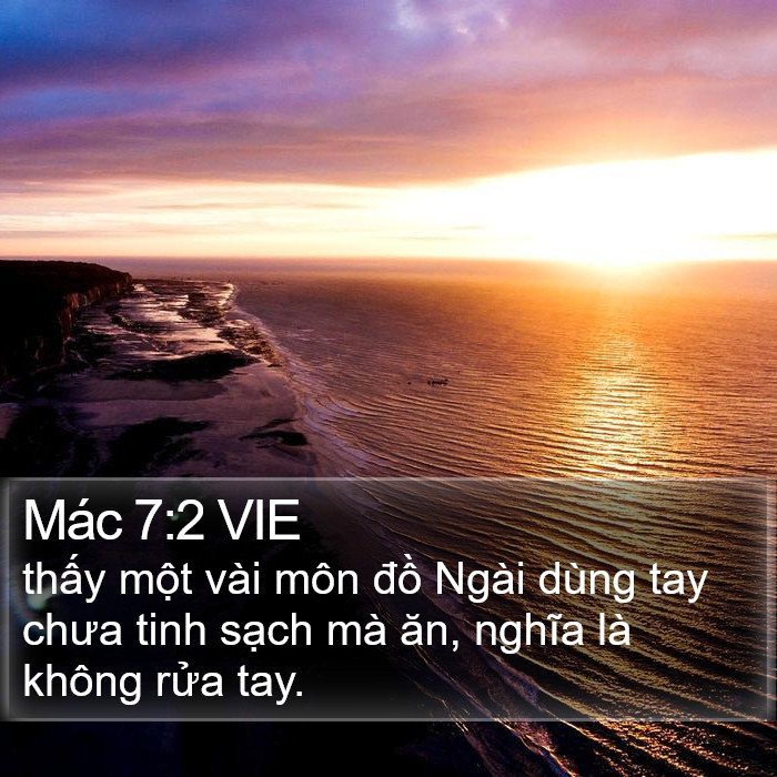 Mác 7:2 VIE Bible Study