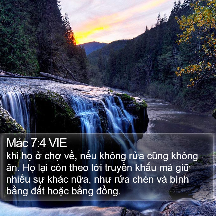 Mác 7:4 VIE Bible Study