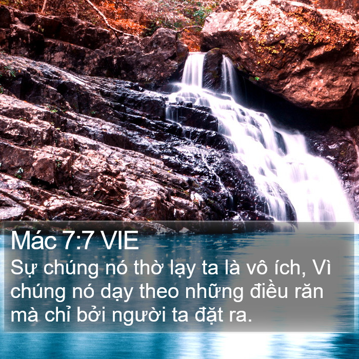Mác 7:7 VIE Bible Study