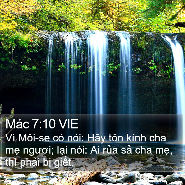 Mác 7:10 VIE Bible Study