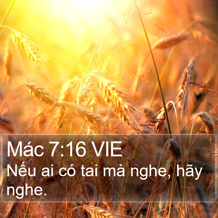 Mác 7:16 VIE Bible Study