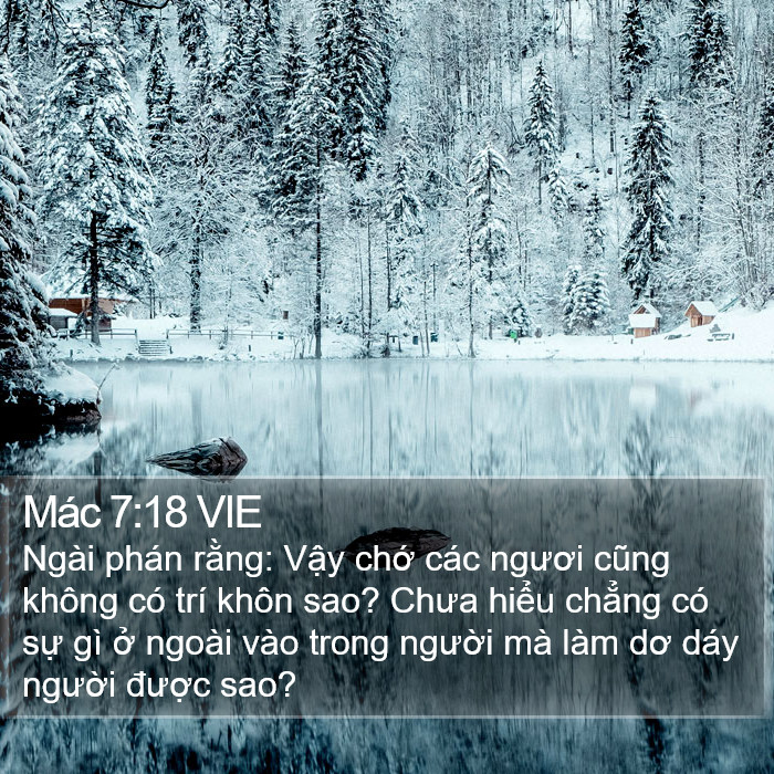 Mác 7:18 VIE Bible Study