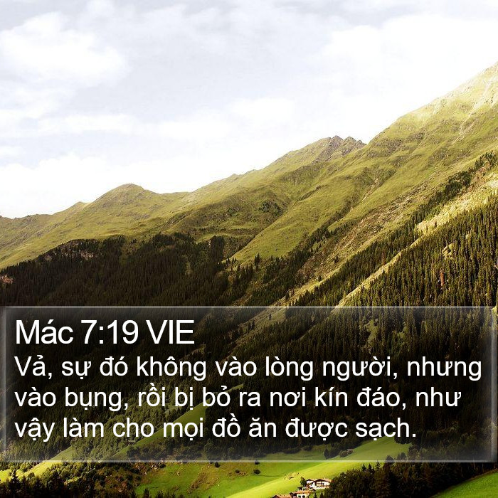 Mác 7:19 VIE Bible Study