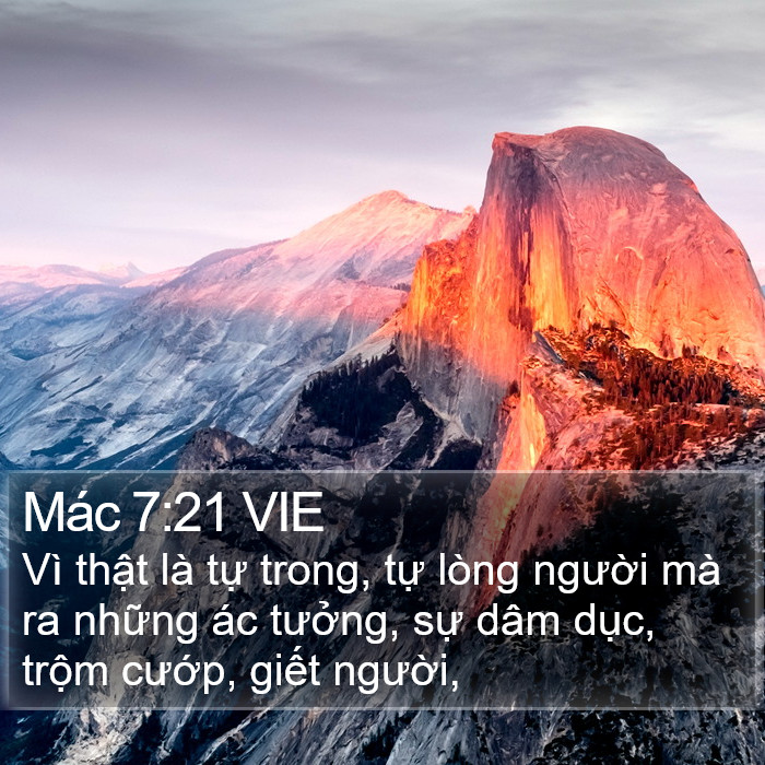 Mác 7:21 VIE Bible Study