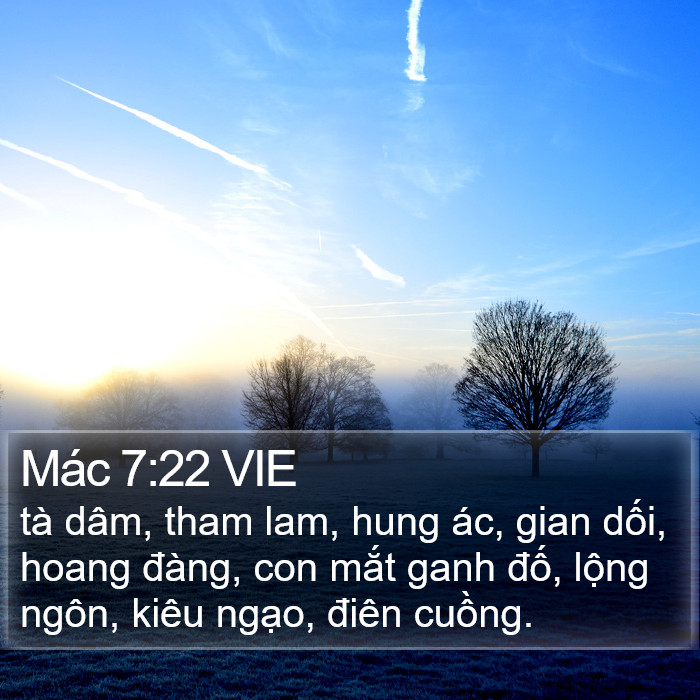 Mác 7:22 VIE Bible Study