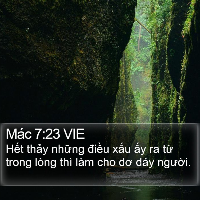 Mác 7:23 VIE Bible Study