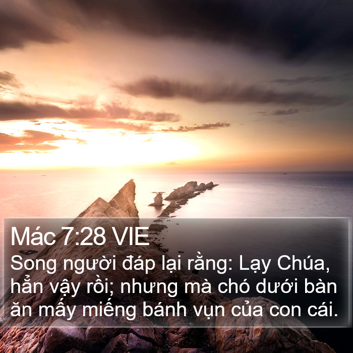 Mác 7:28 VIE Bible Study