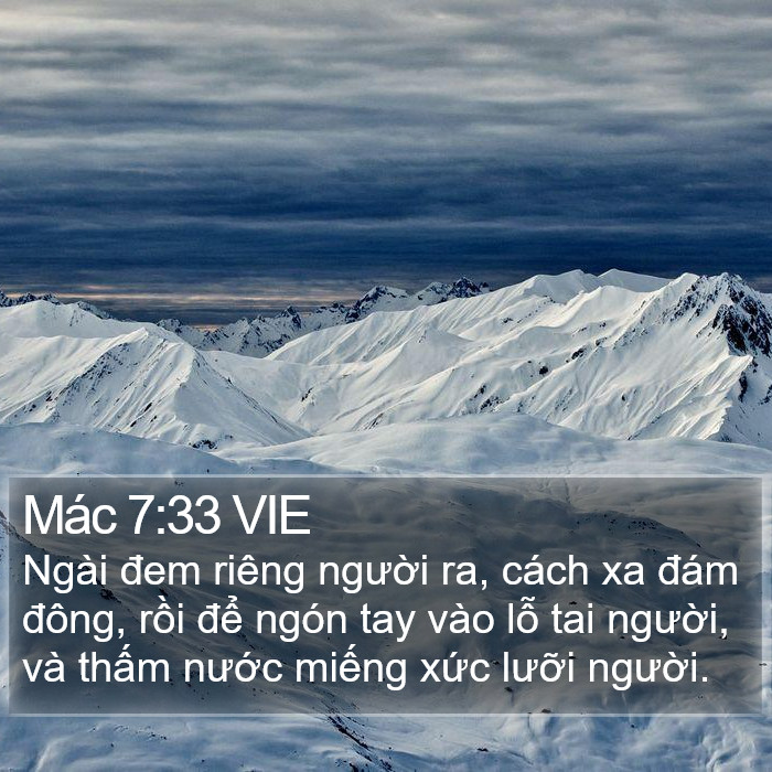 Mác 7:33 VIE Bible Study