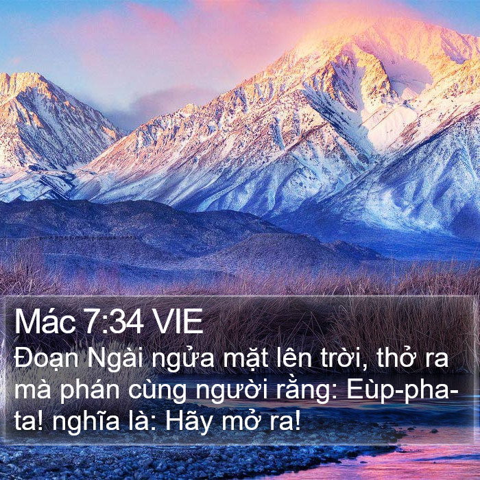 Mác 7:34 VIE Bible Study