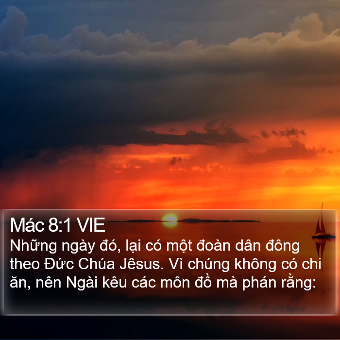 Mác 8:1 VIE Bible Study