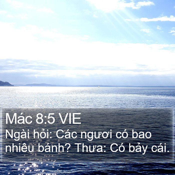 Mác 8:5 VIE Bible Study