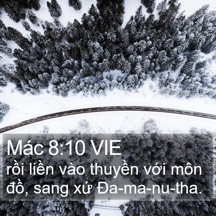Mác 8:10 VIE Bible Study