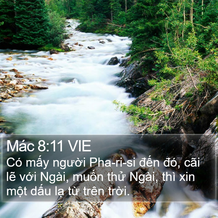 Mác 8:11 VIE Bible Study