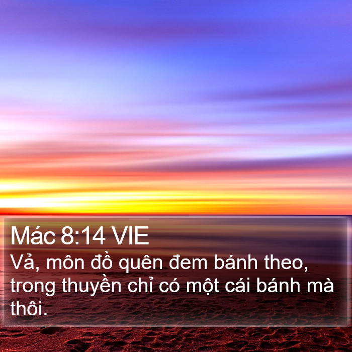 Mác 8:14 VIE Bible Study