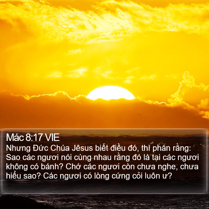 Mác 8:17 VIE Bible Study