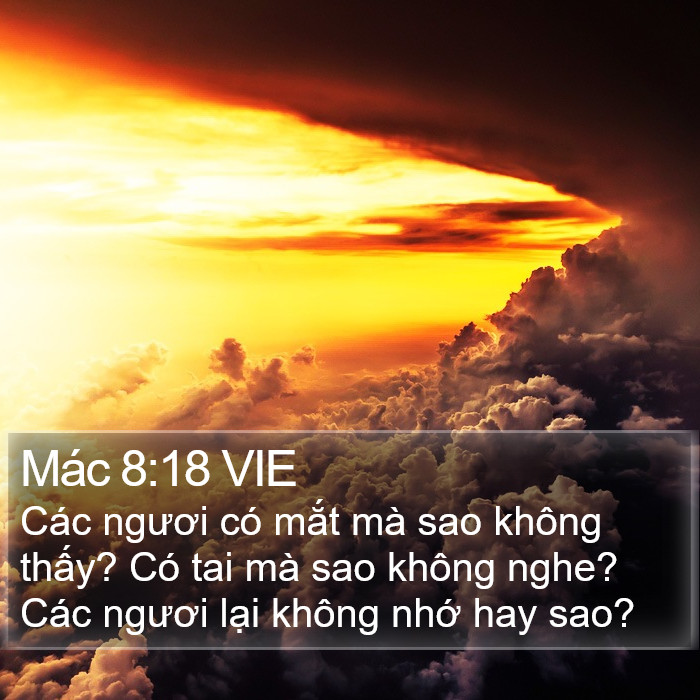 Mác 8:18 VIE Bible Study