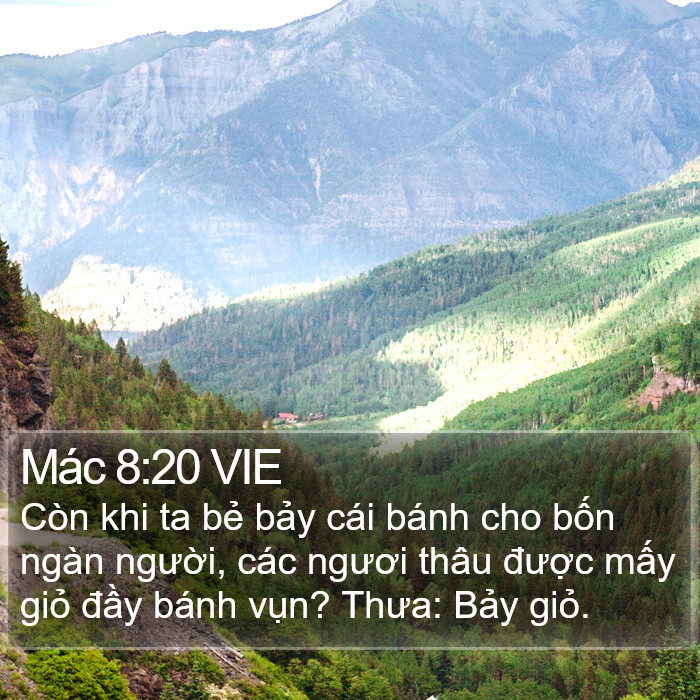 Mác 8:20 VIE Bible Study