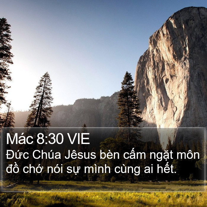 Mác 8:30 VIE Bible Study