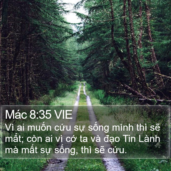 Mác 8:35 VIE Bible Study