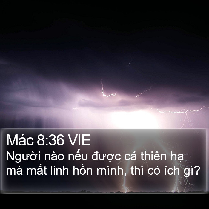 Mác 8:36 VIE Bible Study