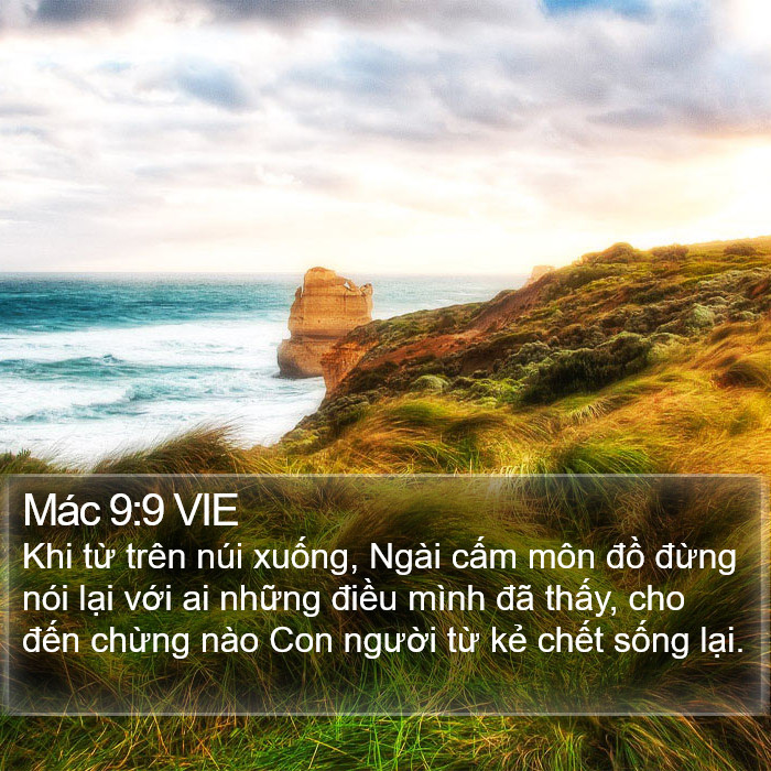 Mác 9:9 VIE Bible Study