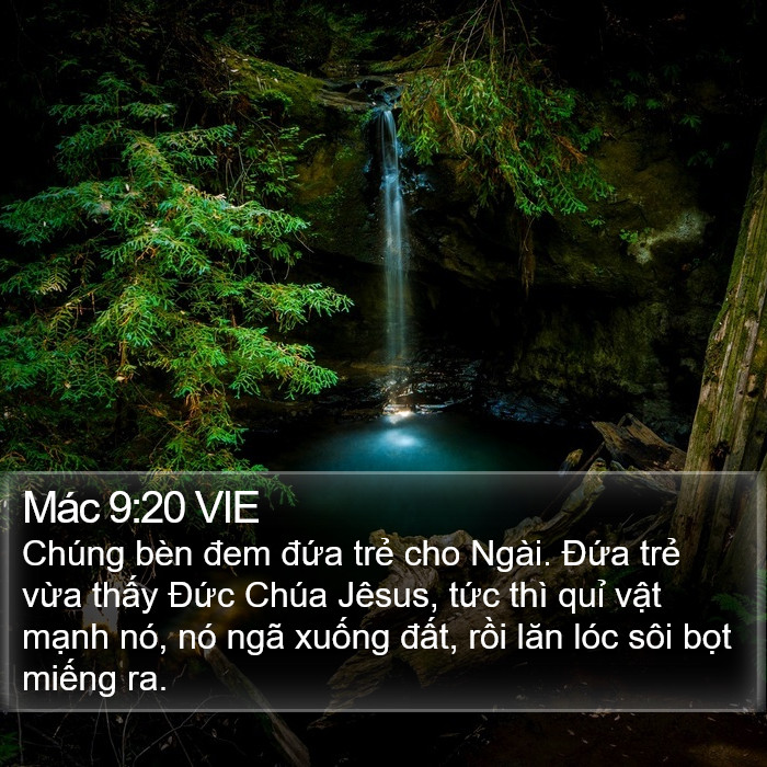 Mác 9:20 VIE Bible Study