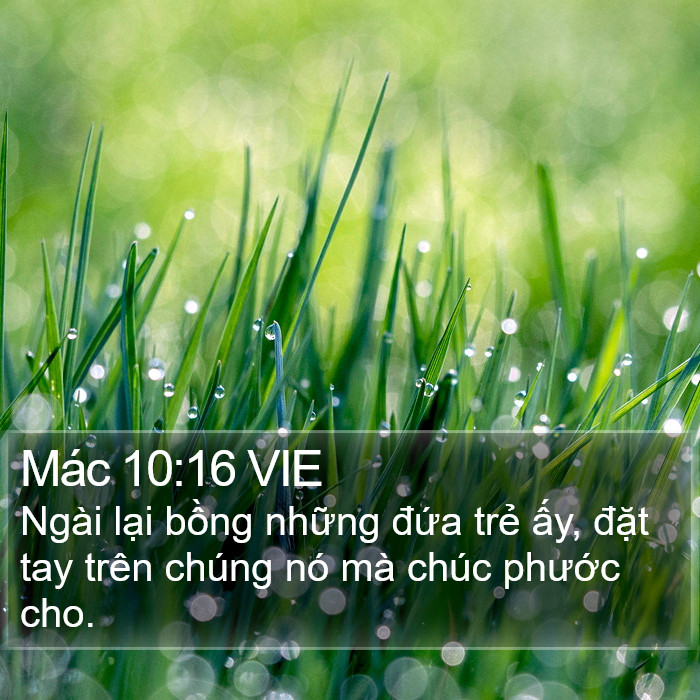 Mác 10:16 VIE Bible Study