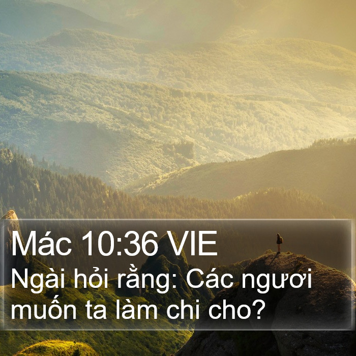 Mác 10:36 VIE Bible Study