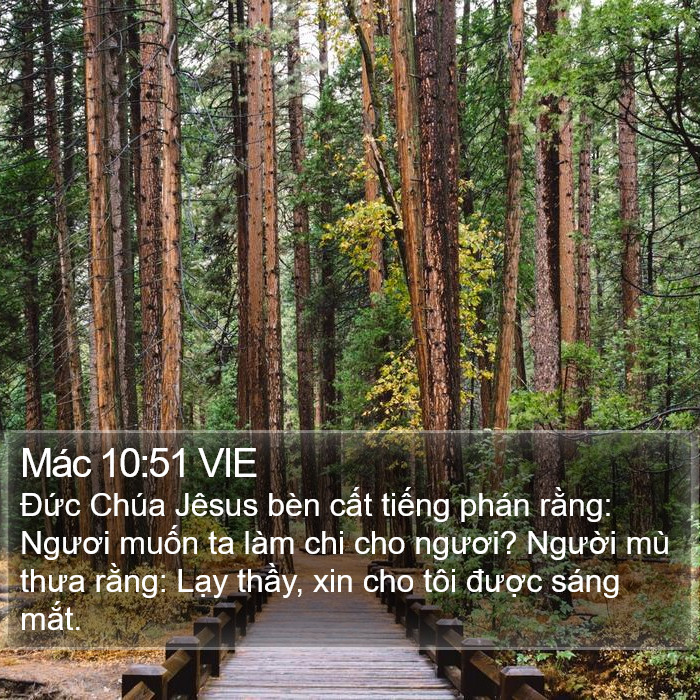 Mác 10:51 VIE Bible Study