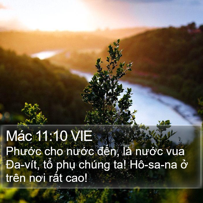 Mác 11:10 VIE Bible Study