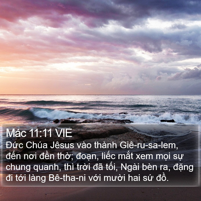 Mác 11:11 VIE Bible Study