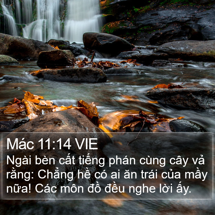 Mác 11:14 VIE Bible Study