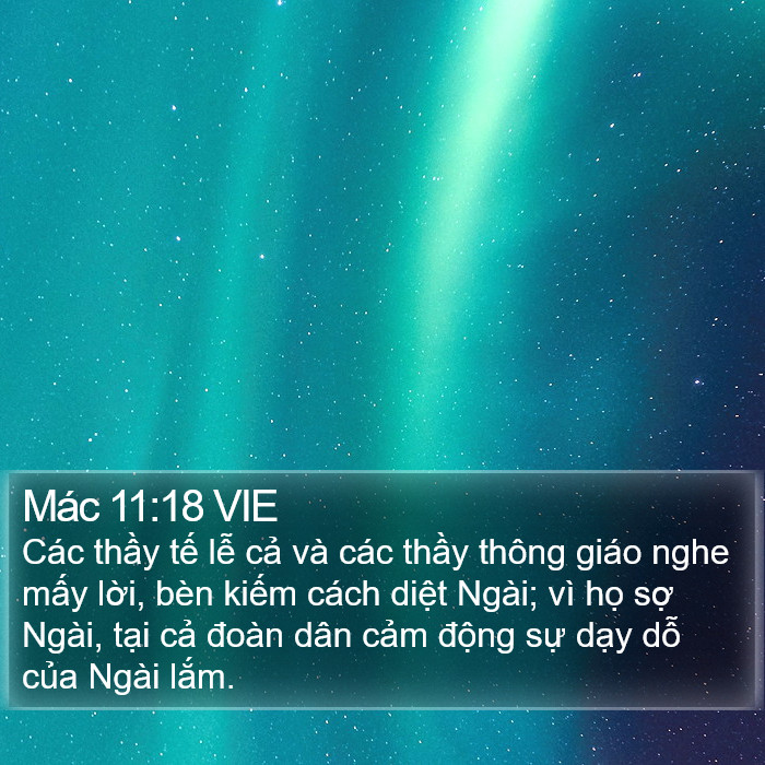Mác 11:18 VIE Bible Study