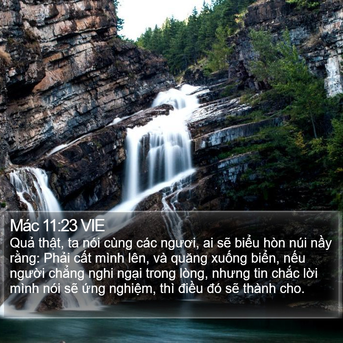 Mác 11:23 VIE Bible Study