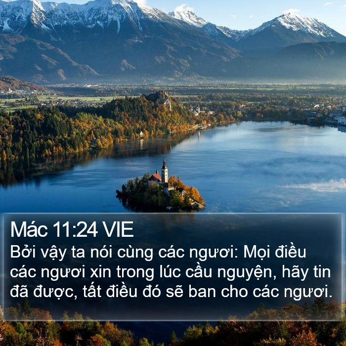 Mác 11:24 VIE Bible Study