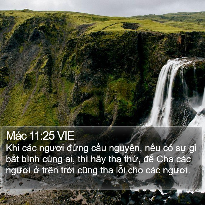 Mác 11:25 VIE Bible Study